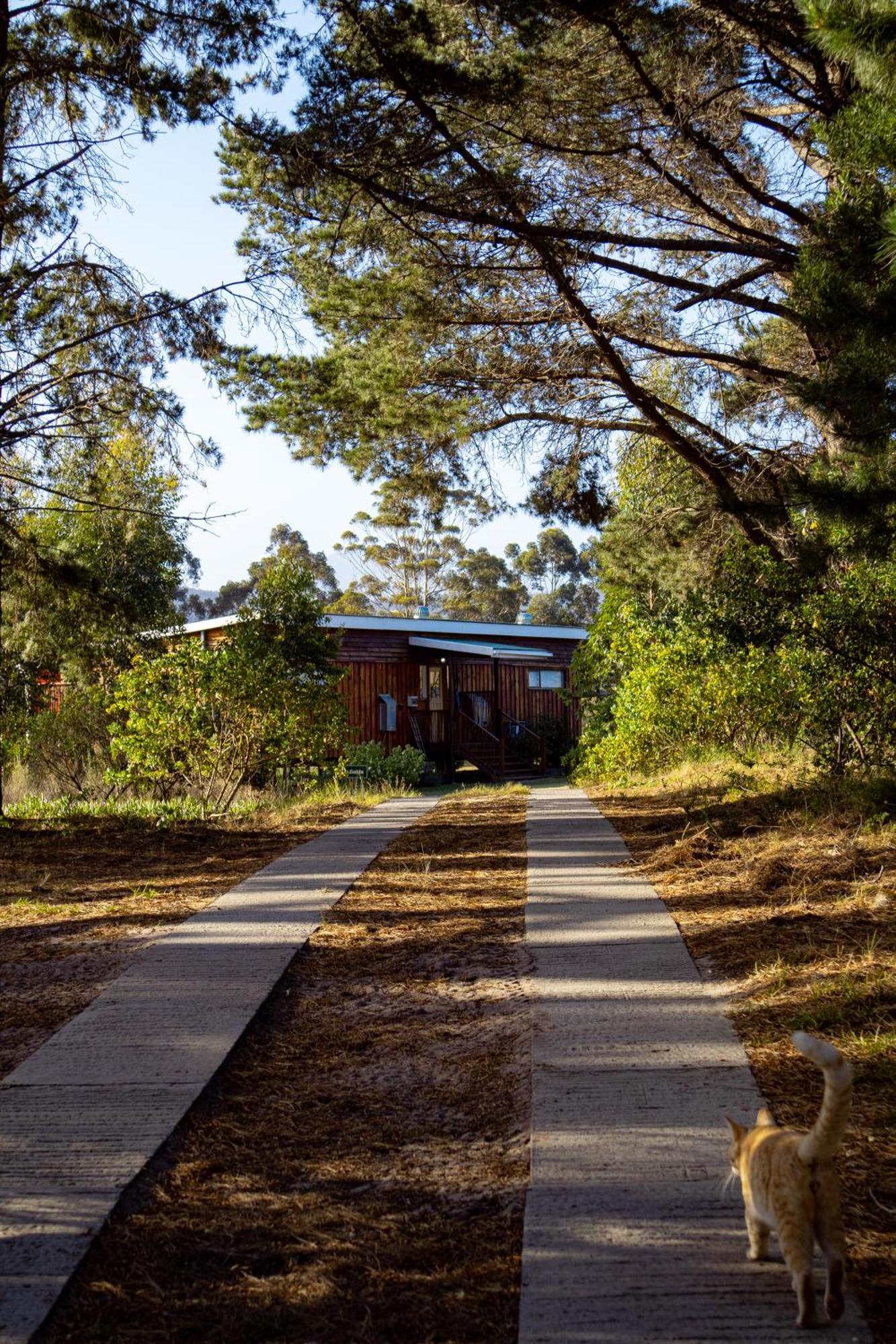 Equleni Guest Farm Hotel Sedgefield Exterior foto